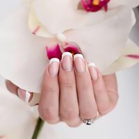 Wild Orchid Esthetics Studio & Training
