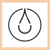 Lifestyle Collective
