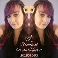 A breath of fresh HAIR- Mobile Hairstylist