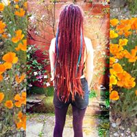 Lioness Dreadlocks