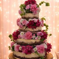 Sugar Sugar Custom Cakes and Pastries