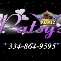 PatsysPups