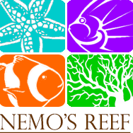 Nemo’s Reef