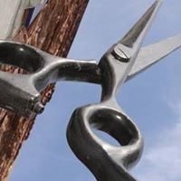 shear ENVY