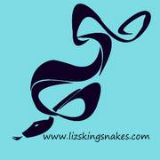 Liz’s King Snakes