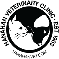 Hanahan Veterinary Clinic