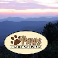 Paws on the Mountain