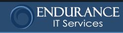 Endurance IT Services